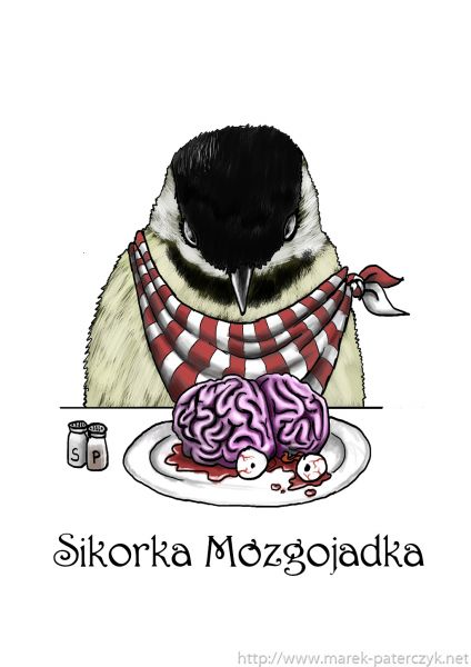 Sikorka Mzgojadka / Brain-eating Chickadee
