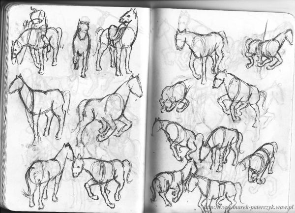 horses 4
